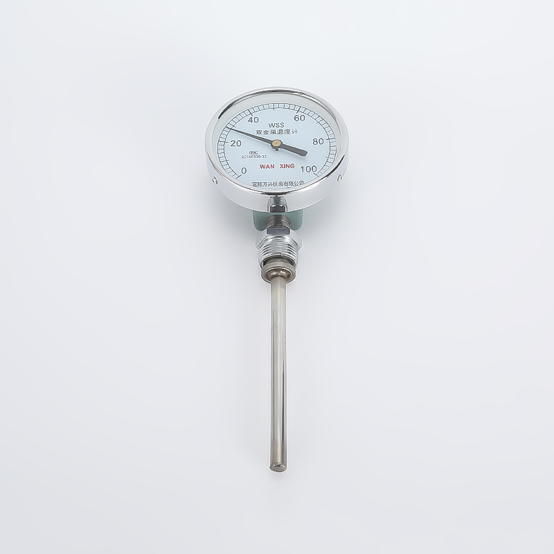WSS411 radial