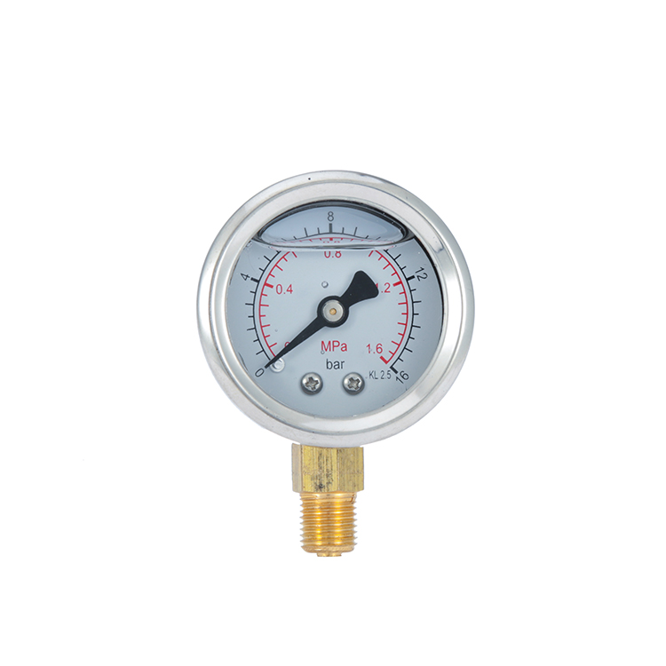 Shock-resistant oil-filled pressure gauge YN63